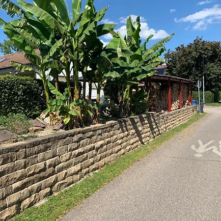 Panorama-wohnung-im-gruenem *