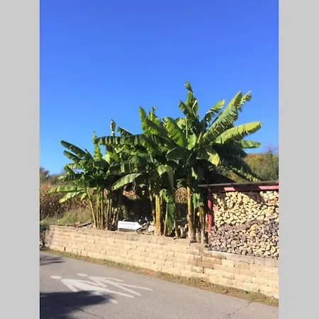 Panorama-wohnung-im-gruenem Lejlighed Allensbach